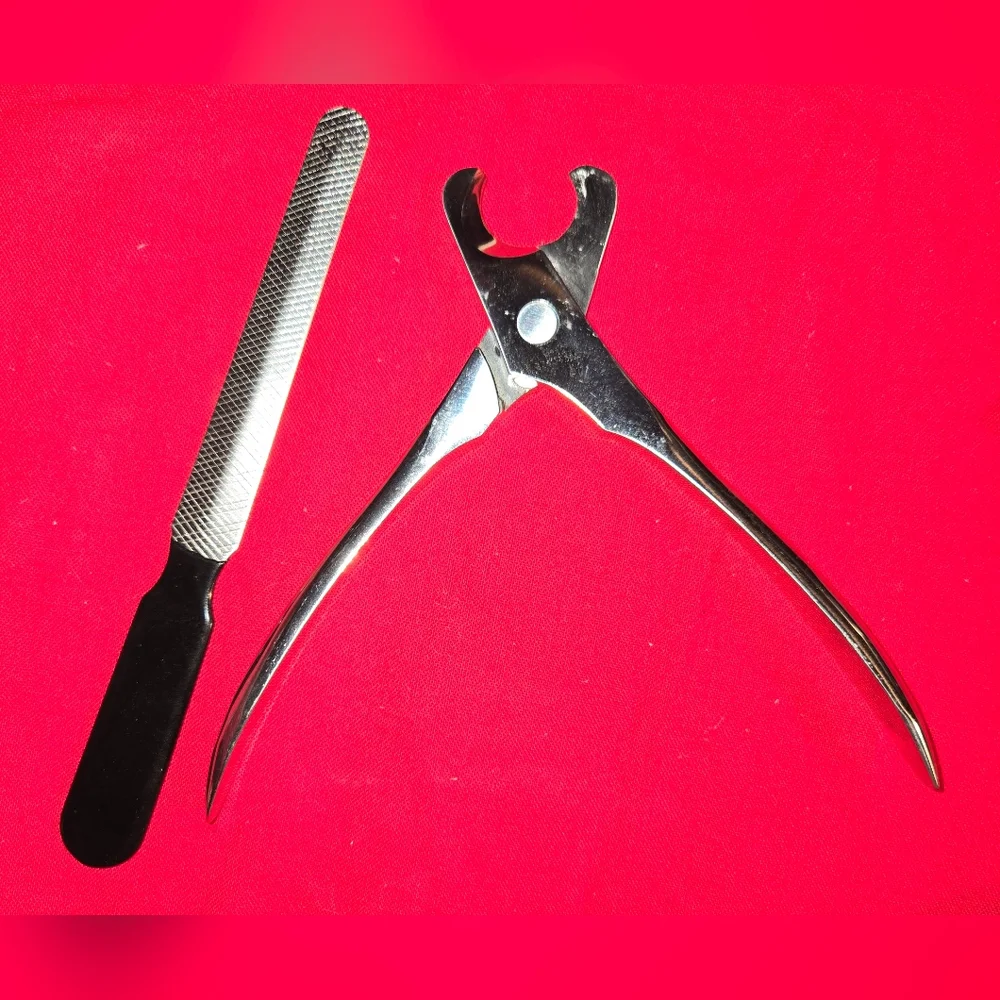 Pet clippers and file